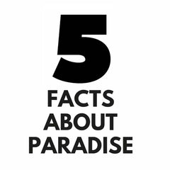 5 Facts About Paradise
