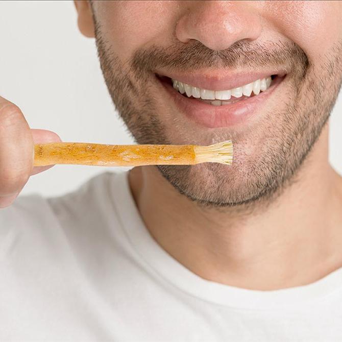 500 Piece Miswak Wholesale Bundle - Reseller / Distributor Offer + FREE SHIPPING + (FREE LOGO DESIGN PLACEMENT)