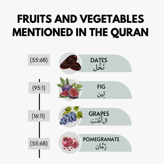 Fruits and Vegetables