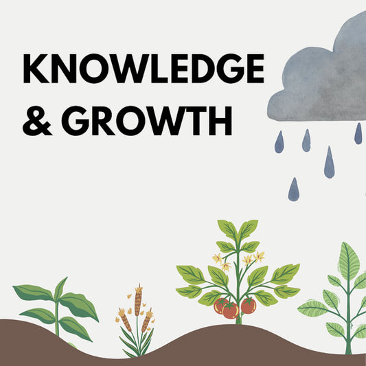 Knowledge Leads to Growth