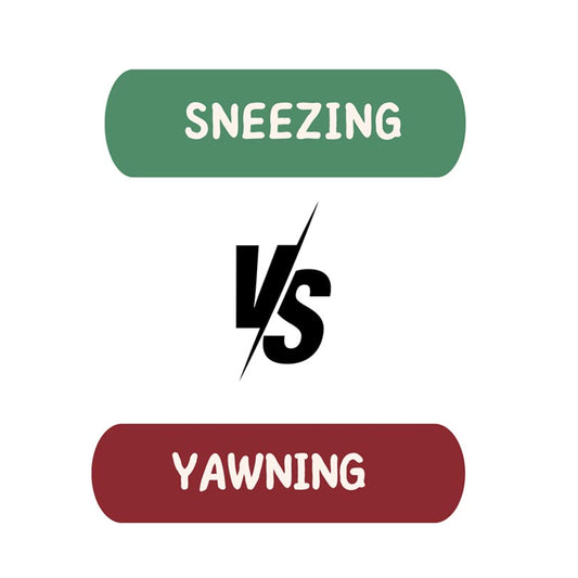 Sneezing vs Yawning