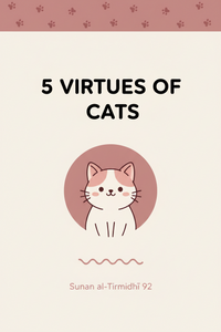 🐈 5 Virtues of Cats in Islam: Purity & Mercy