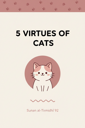 🐈 5 Virtues of Cats in Islam: Purity & Mercy