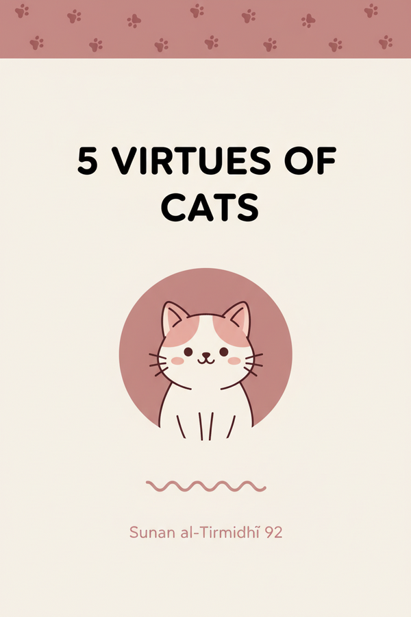 🐈 5 Virtues of Cats in Islam