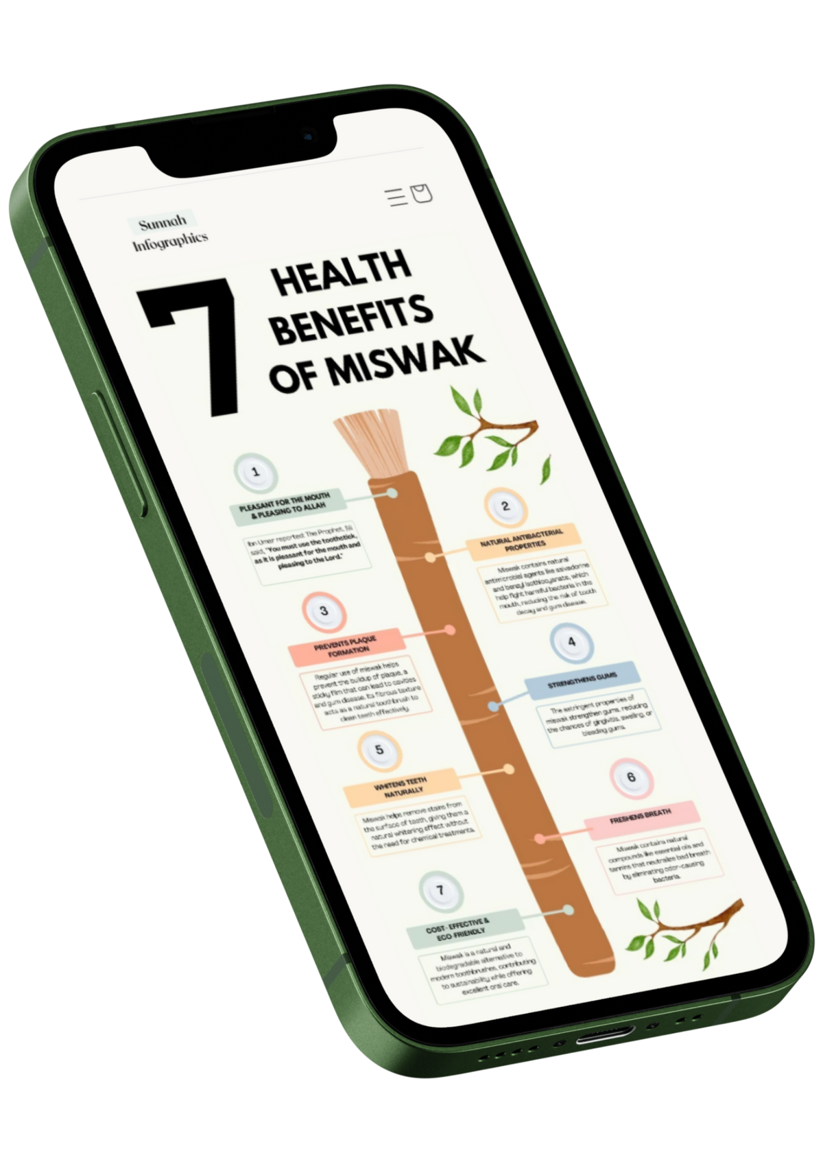 Sunnah Infographics: Islamic Learning Resources for All Ages